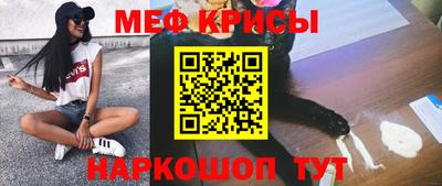 СК Гатчина