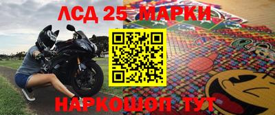 СК Гатчина