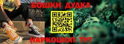 СК Гатчина
