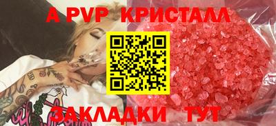 СК Гатчина