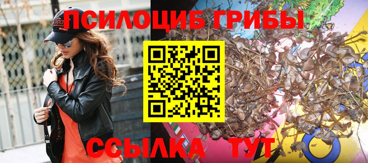 Минусинск  Псилоцибиновые грибы ЛСД  Галлюциногенные грибы Psilocybe  Вход с VPN 