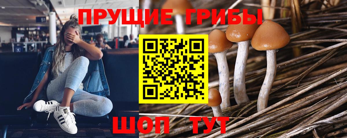 Галлюциногенные грибы MAGIC MUSHROOMS Минусинск